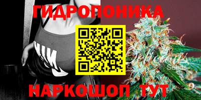 ПСИЛОЦИБИНОВЫЕ ГРИБЫ Канаш