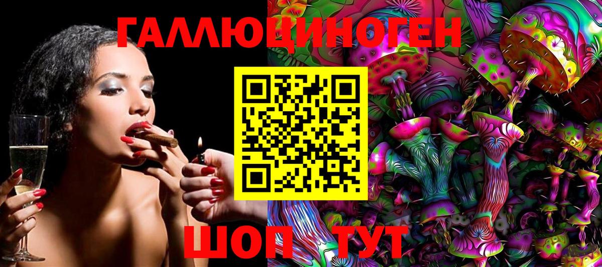 Галлюциногенные грибы Cubensis Луга