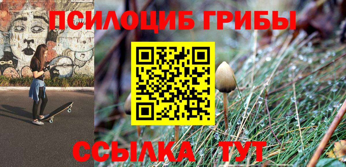 купить наркотик  Вход с VPN  Псилоцибиновые грибы мицелий  Луга  Псилоцибиновые грибы MAGIC MUSHROOMS 